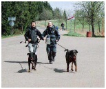 Dogtrekking 2007